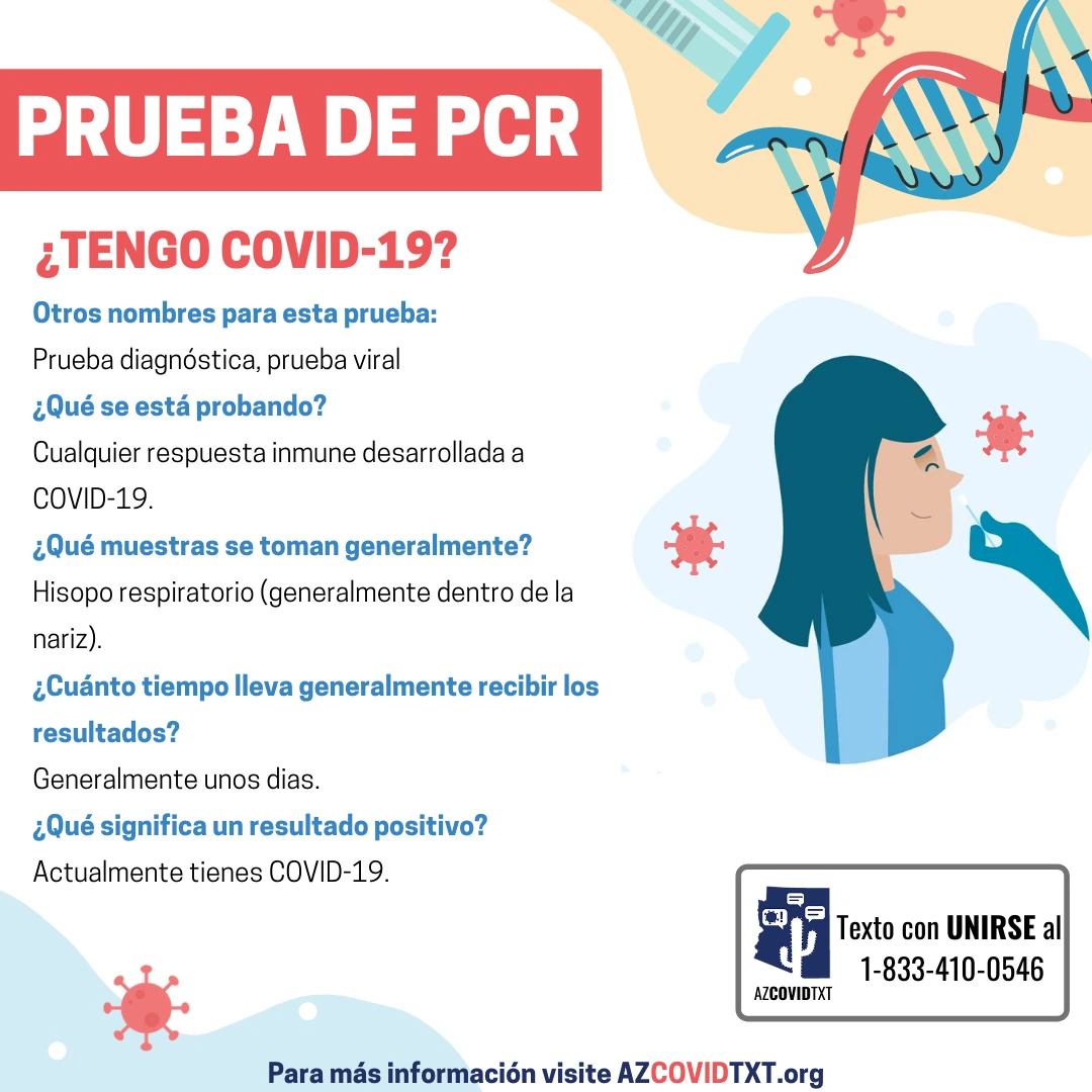 Spanish Graphic of Covid Test: PCR Test