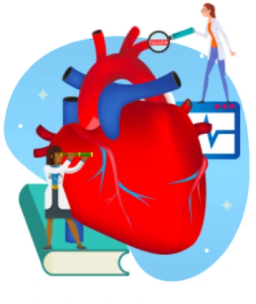 Cardiovascular System graphic